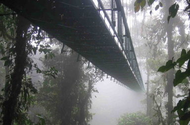 Costa Rica cloud forest