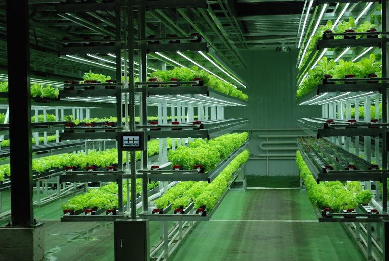 Vertical farming Mongolia 2015