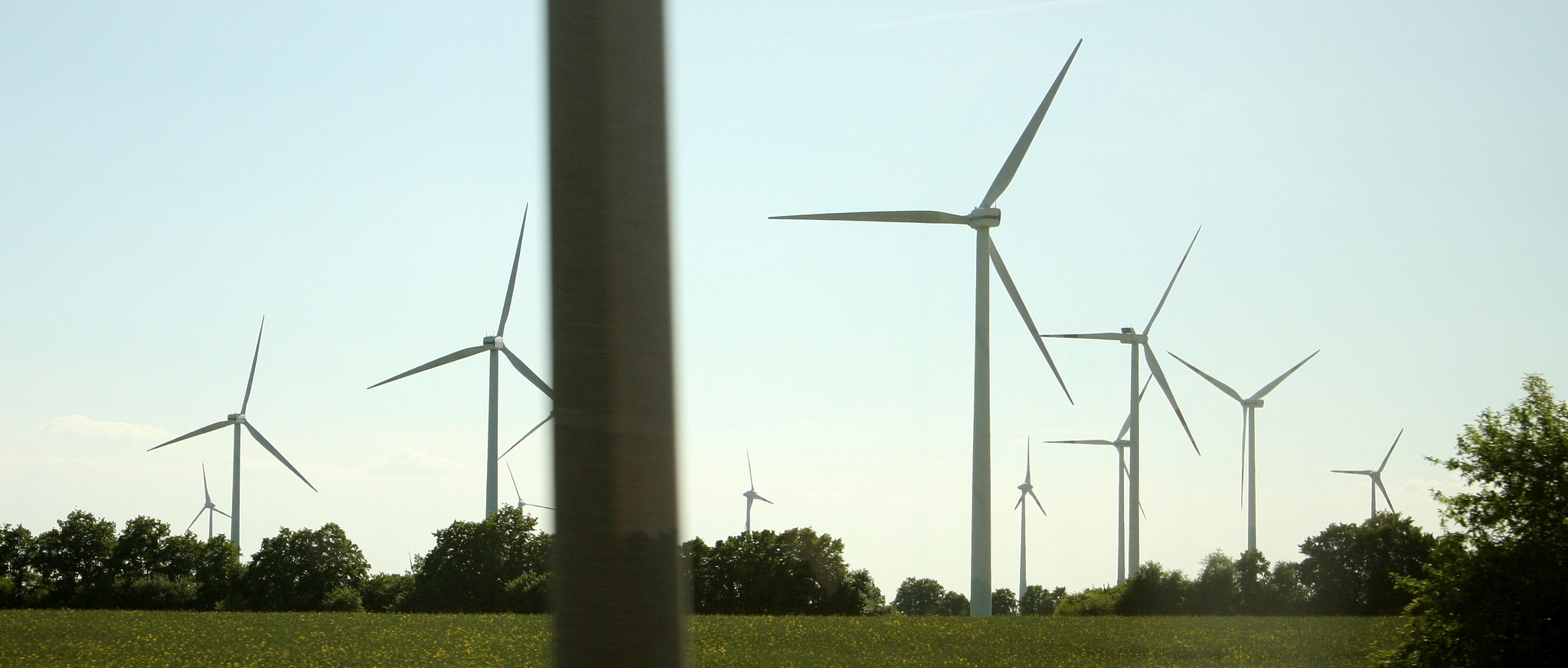 Wildlife Conservation Research - Wind farm in Germany