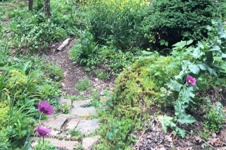 Woodland Community Land Trusst