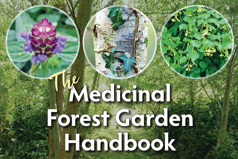 Medicinal Forest Garden review