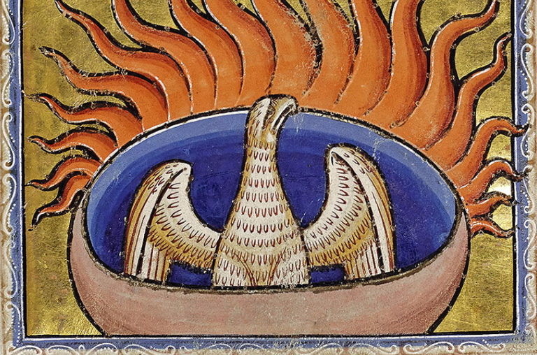 phoenix