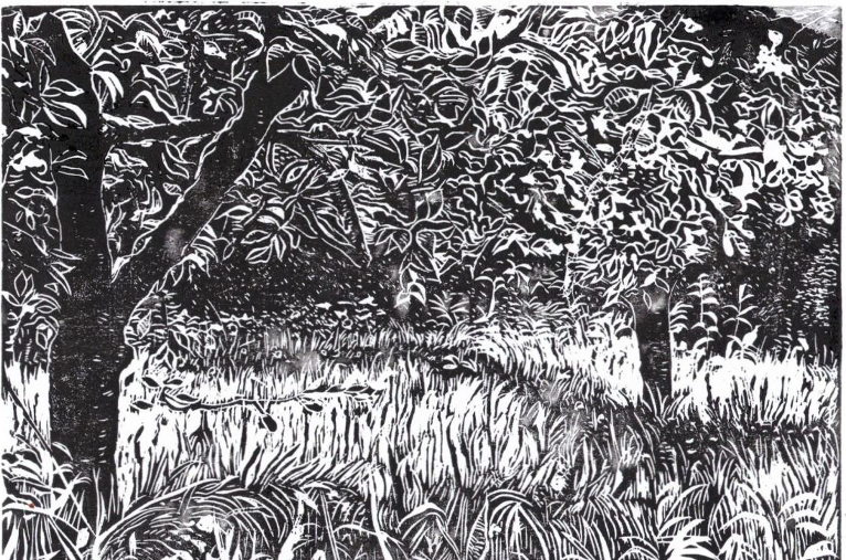 apple trees in long grass