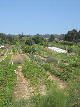 Agroecological farm