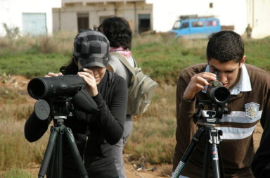 Young birdwatchers in Morocco