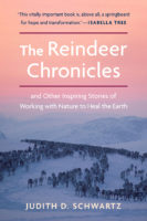 The Reindeer Chronicles