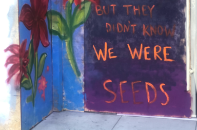 Seed mural