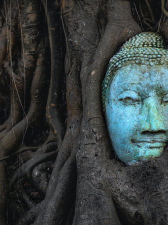 Tree Buddha