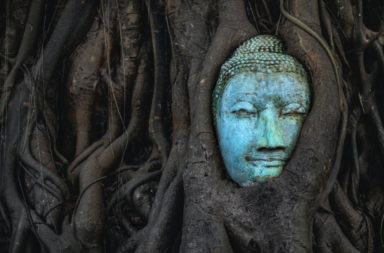 Tree Buddha