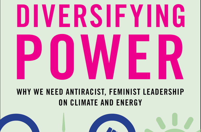 Diversifying Power: Excerpt - resilience