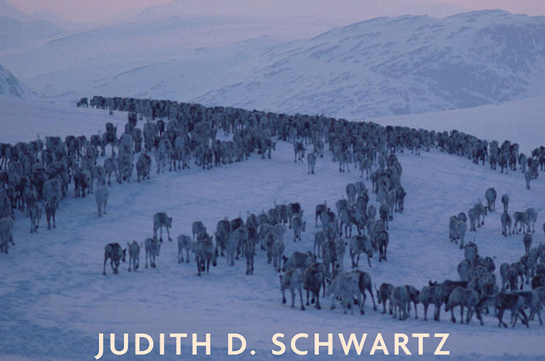 The Reindeer Chronicles