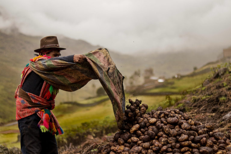 The Walkers and the renaissance of indigenous culture in Peru - Resilience