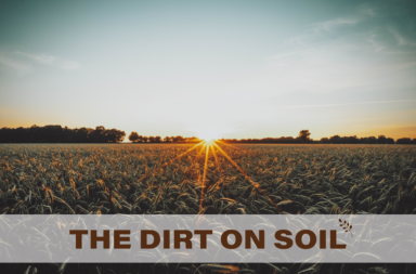 The Dirt on Soil field