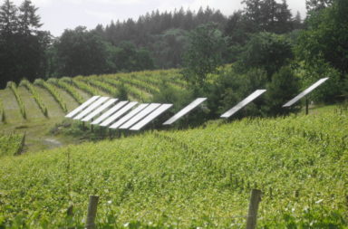 Solar panels in Oregon