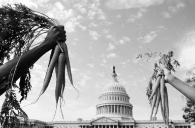 National Sustainable Agriculture Coalition