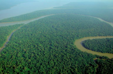 the Amazon