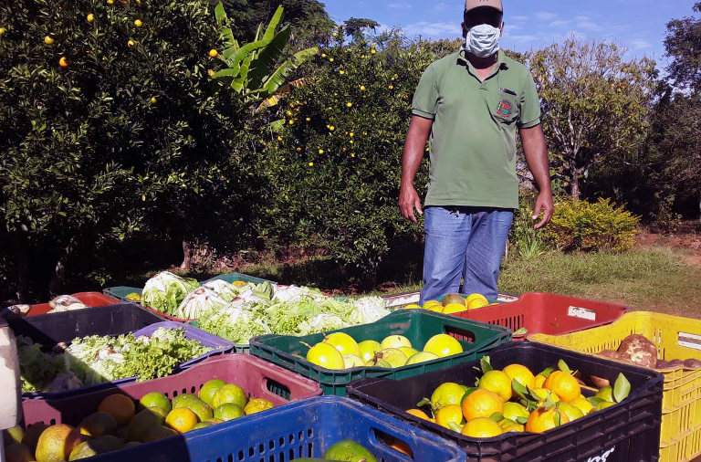 healthy food distribution
