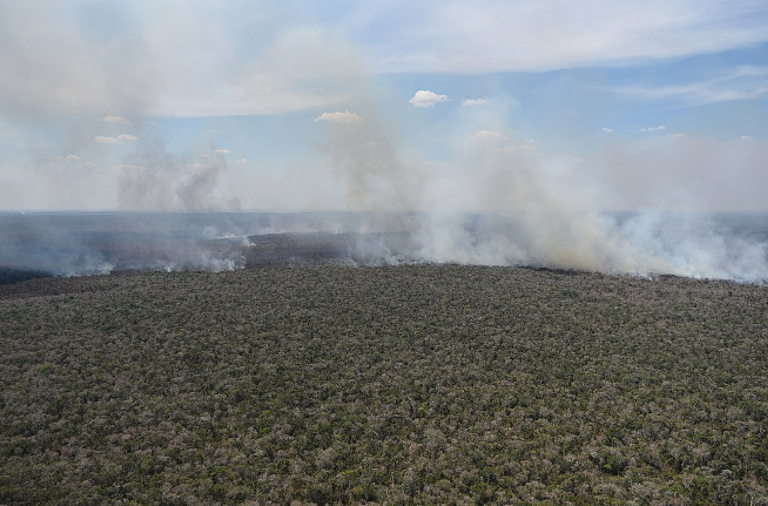 Wildfires in Amazon