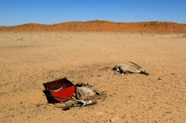 Drought in Namibia