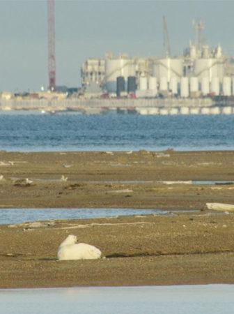 Arctic National Wildlife Refuge