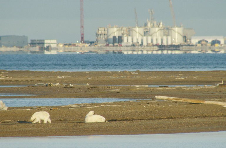 Arctic National Wildlife Refuge