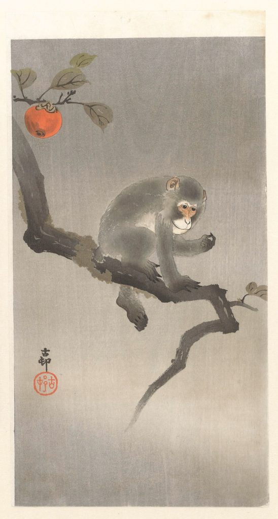 monkeyonbranch