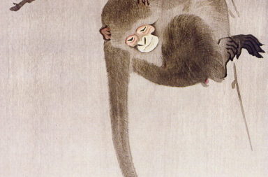 monkey reaching for the moon