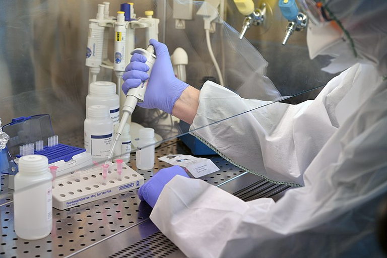 Virus Genome extraction