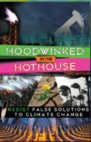 hoodwinked cover