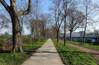 Bike lane in Paris