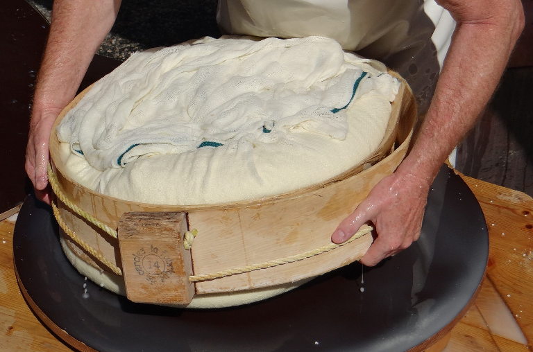 Molding in a circle of beech wood