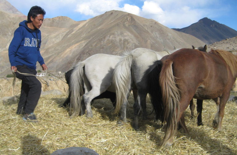 Young Farmers in Ladakh
