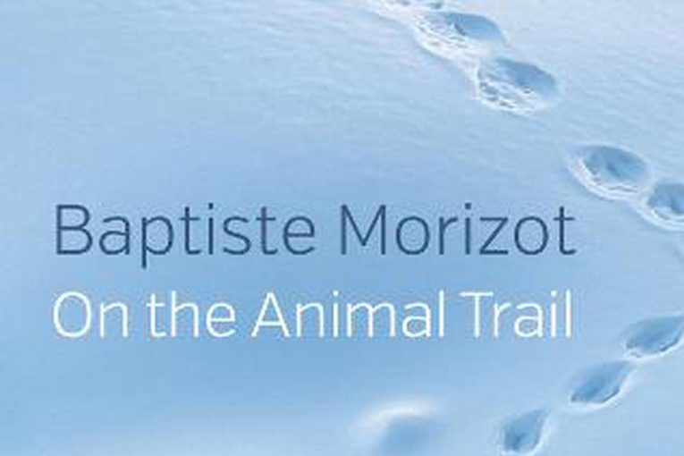 On the Animal Trail cover