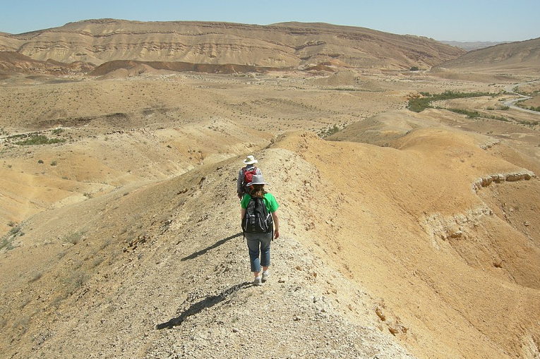 field geologists in Israel