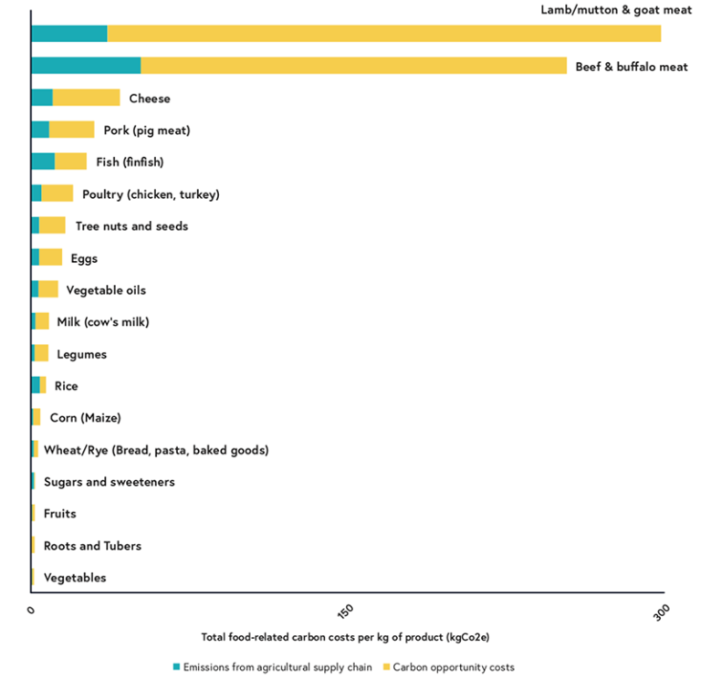 carbon costs of various foods