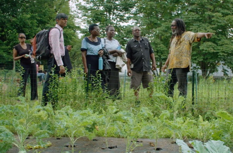 Ant and the Grasshopper still