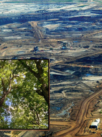 Tar sands overlaid with woodland picture