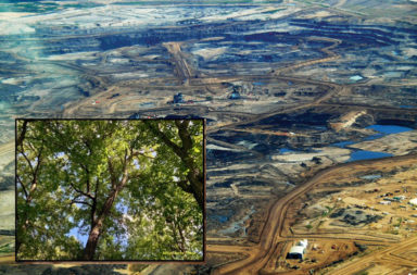 Tar sands overlaid with woodland picture