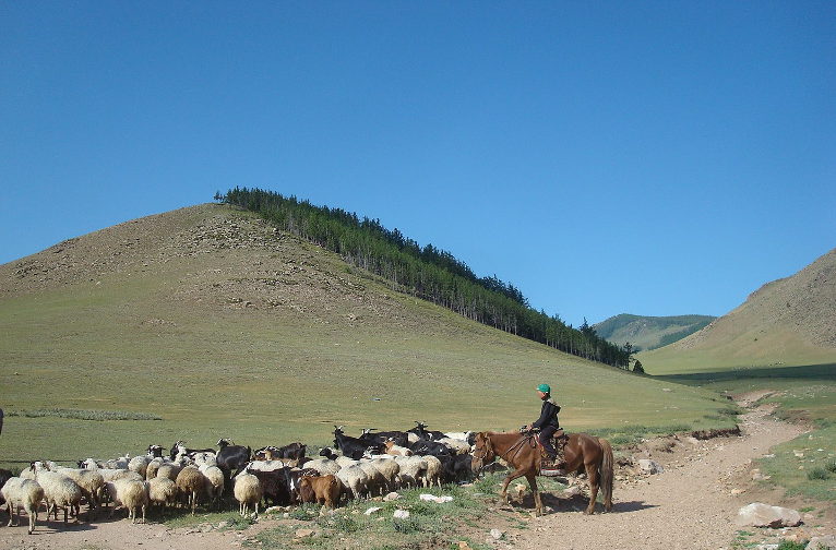 Mongolian pastoralists
