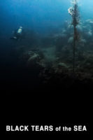 oil from shipwrecks