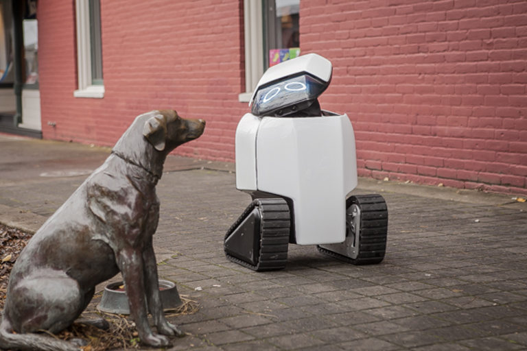 dog robot