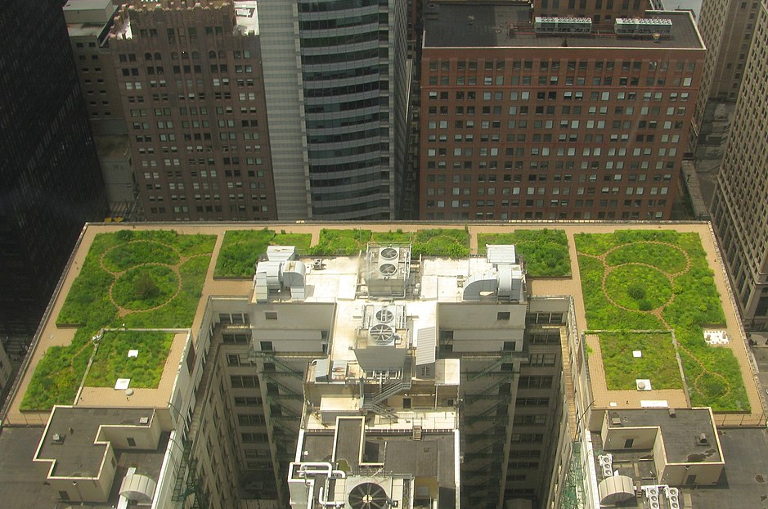 Chicago City Hall Green Roof
