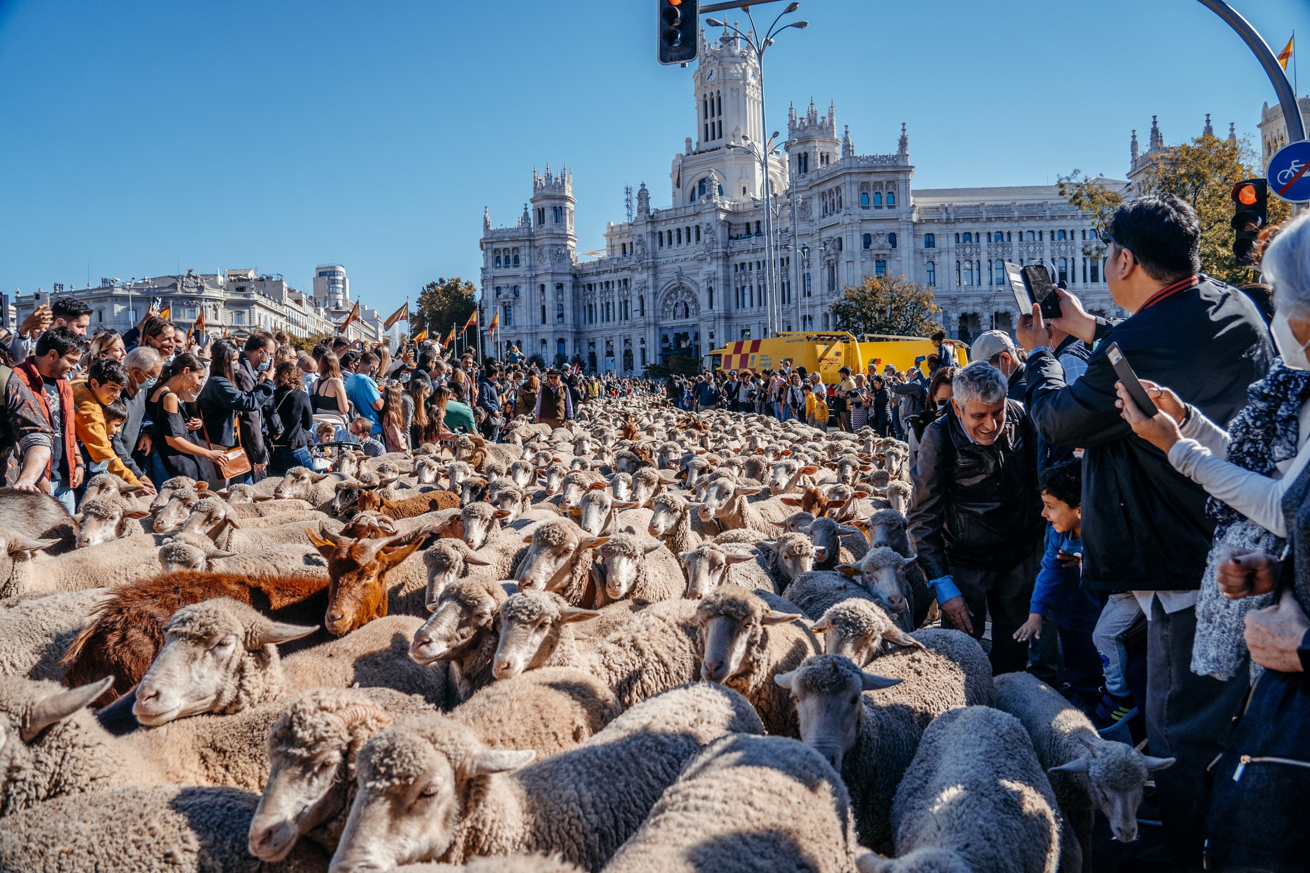 Transhumance Festival