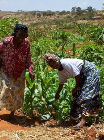 Women smallholders