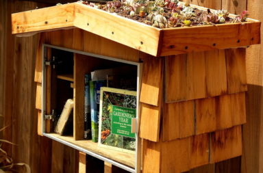 Little Free Library