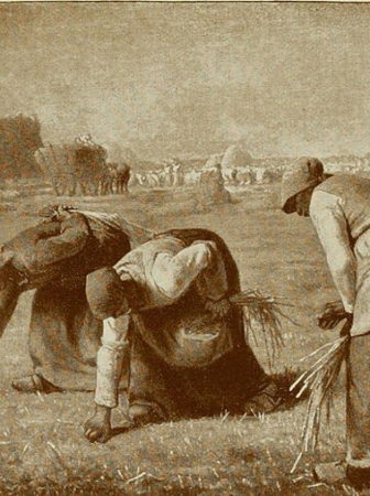 The Gleaners