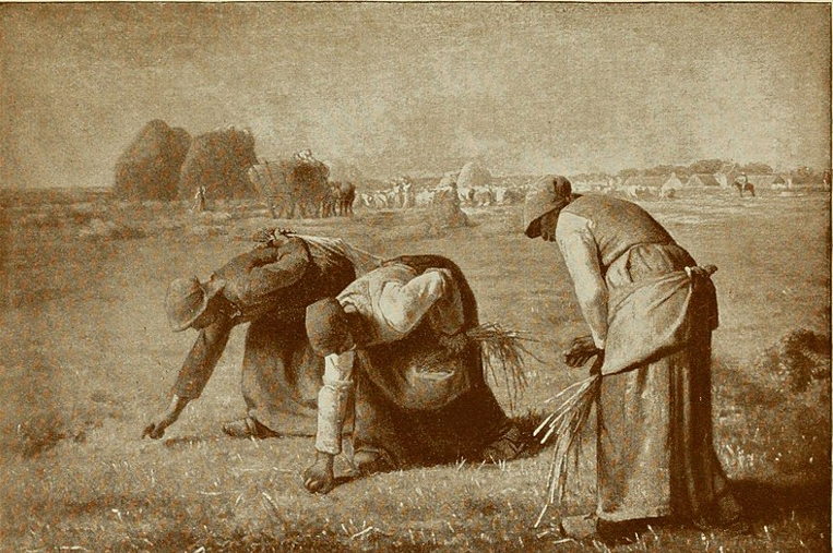 The Gleaners