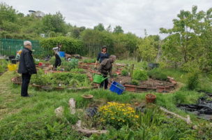 Bristol Medical Garden