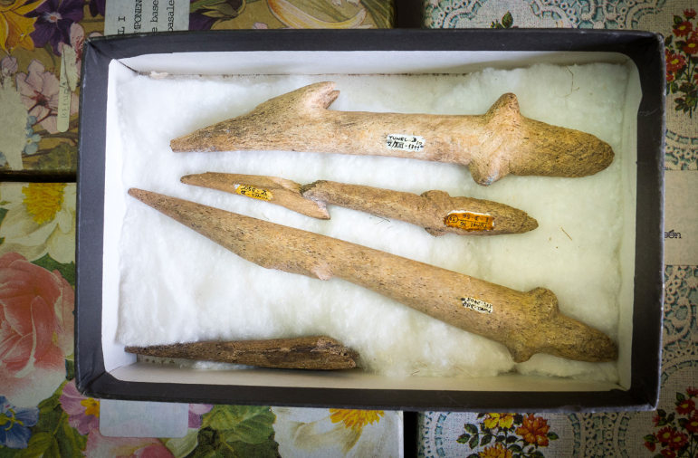 points Tierra del Fuego