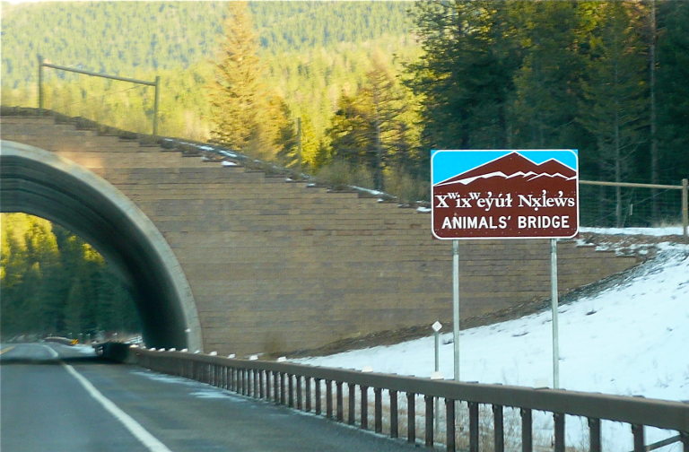 wildlife crossing